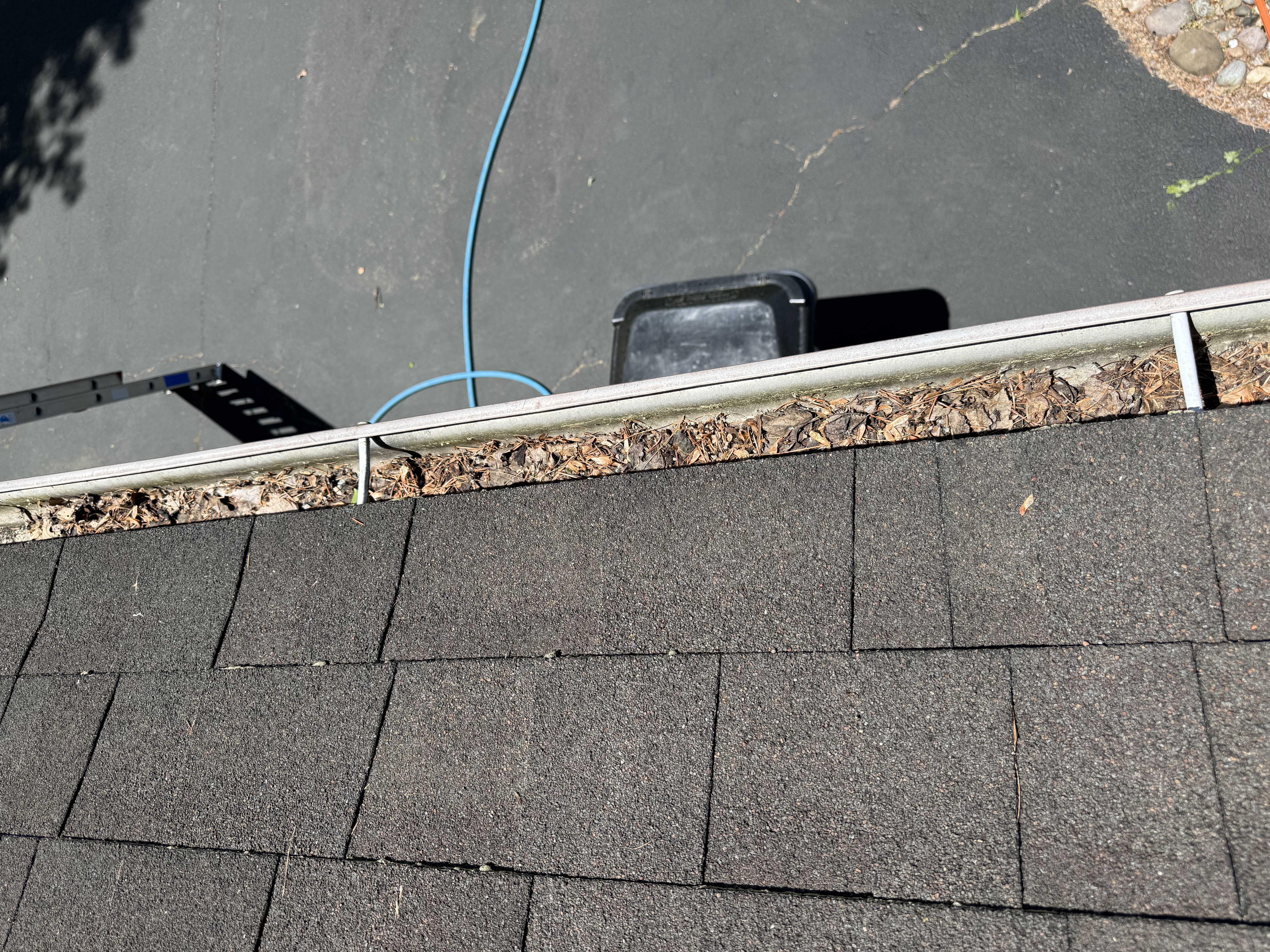 Before gutter cleaning Capital Region NY